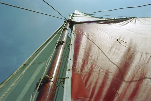 Albatros