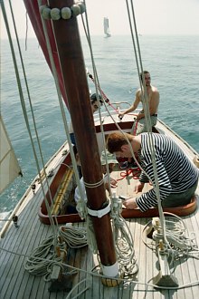 Albatros