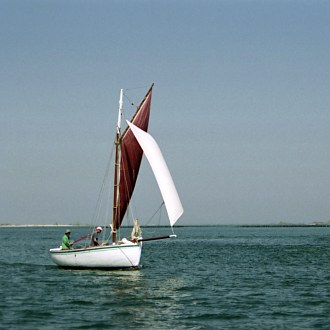 Albatros