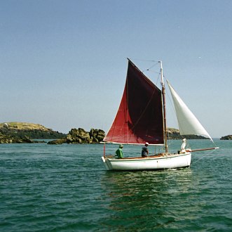Albatros