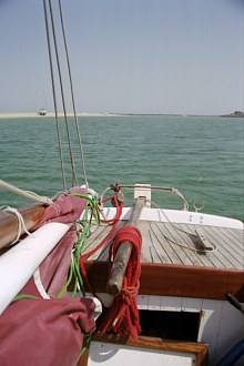Albatros