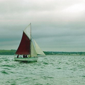 Albatros