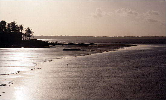Retour au texte