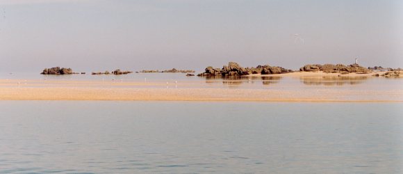 Retour  l'accueil Chausey