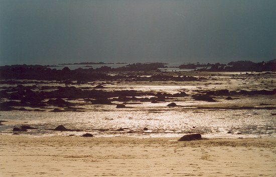 Retour  l'accueil Chausey