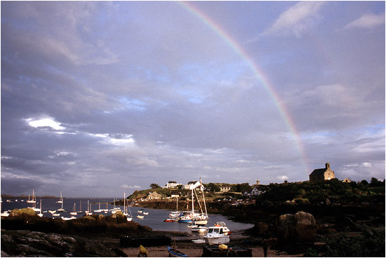 Retour  l'accueil Chausey