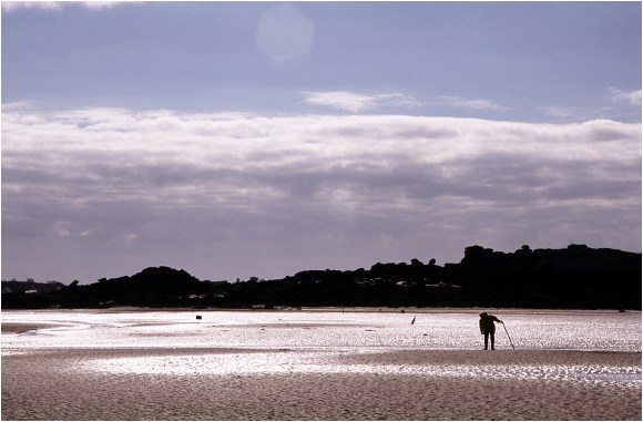 Retour  l'accueil Chausey