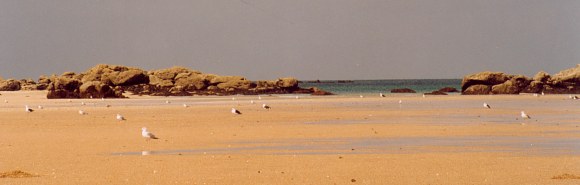 Retour  l'accueil Chausey