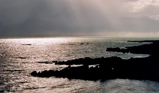 Retour  l'accueil Chausey