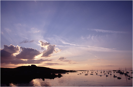 Retour  l'accueil Chausey