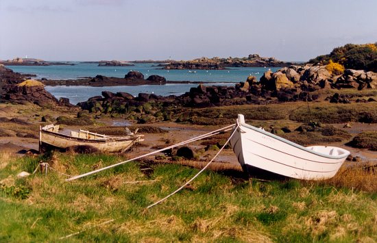 Retour  l'accueil Chausey