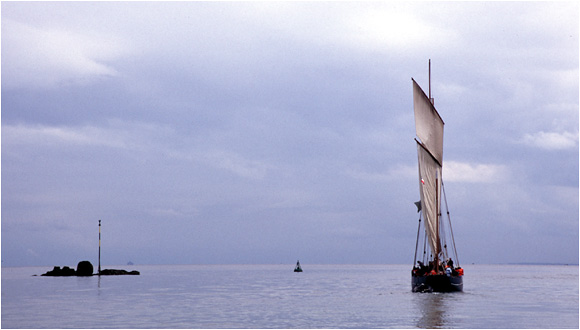 Retour  l'accueil Chausey