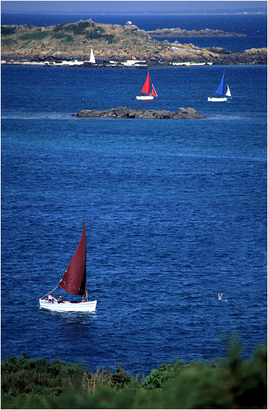 Retour  l'accueil Chausey