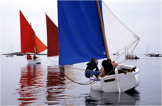Retour  l'accueil Chausey