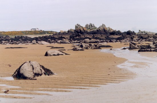 Retour  l'accueil Chausey