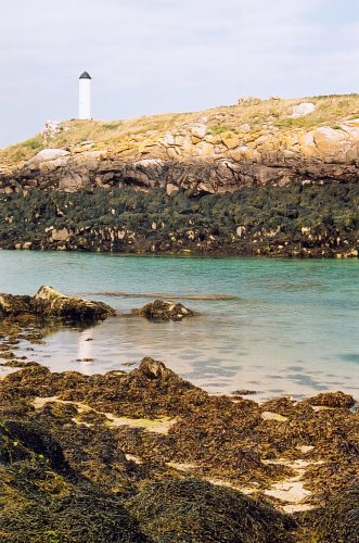 Retour  l'accueil Chausey