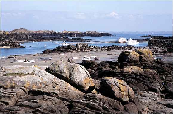 Retour  l'accueil Chausey