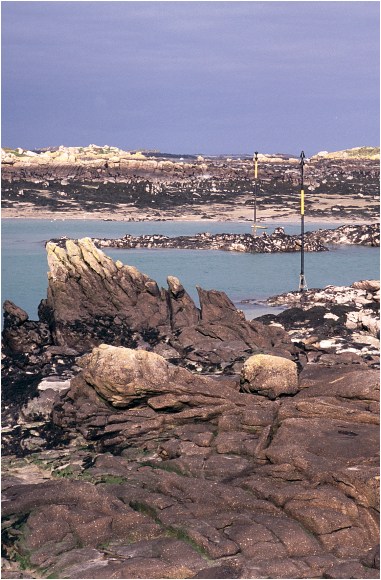 Retour  l'accueil Chausey