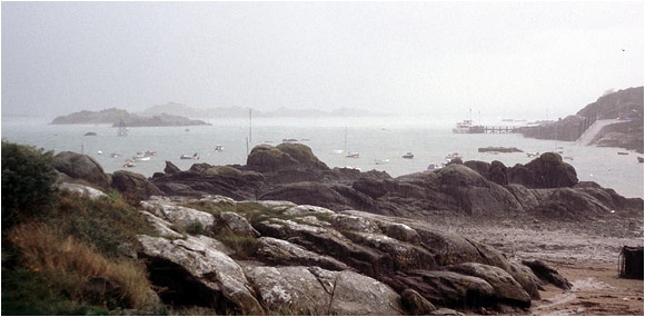 Retour  l'accueil Chausey
