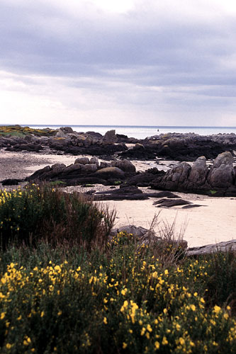 Retour  l'accueil Chausey