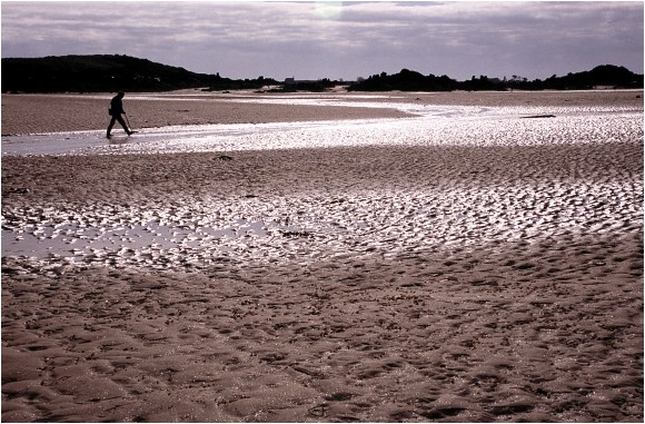 Retour  l'accueil Chausey
