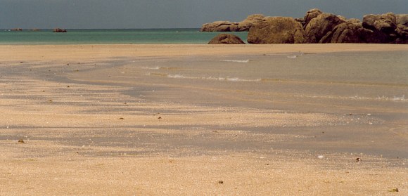 Retour  l'accueil Chausey