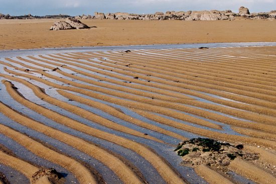Retour  l'accueil Chausey