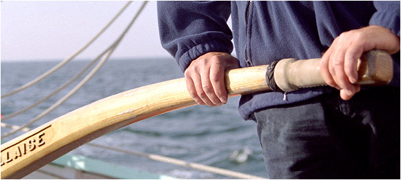 marin3