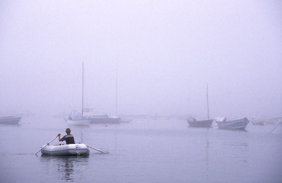 Brouillard